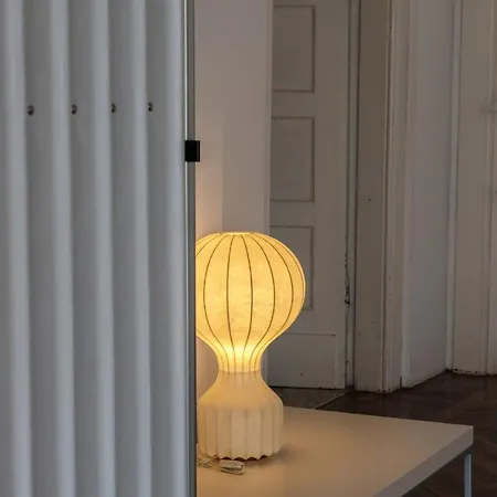 Ca' Soderini 威尼斯